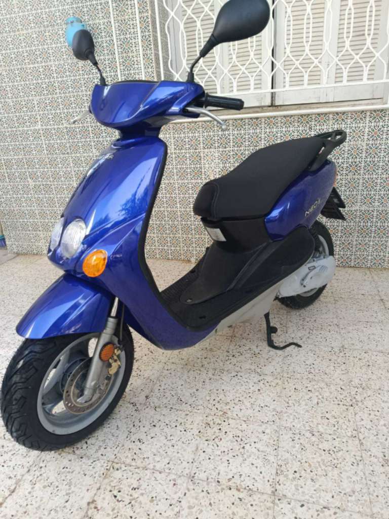 Avendre Ovetto tout neuf importe italien 🇮🇹🇮🇹