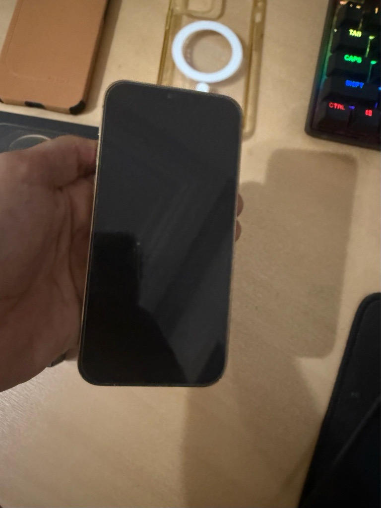iPhone 12 Pro