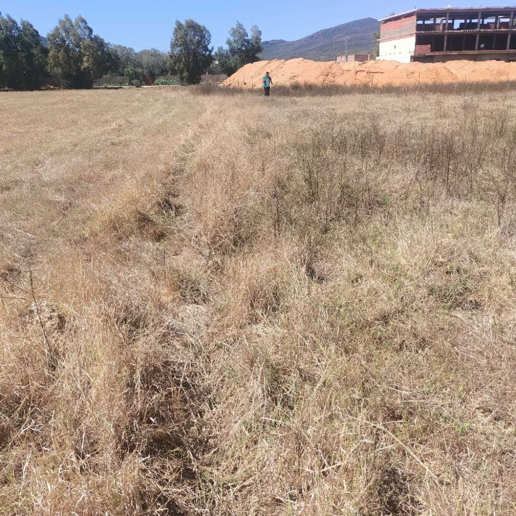 terrain 300 a tabarka a vendre