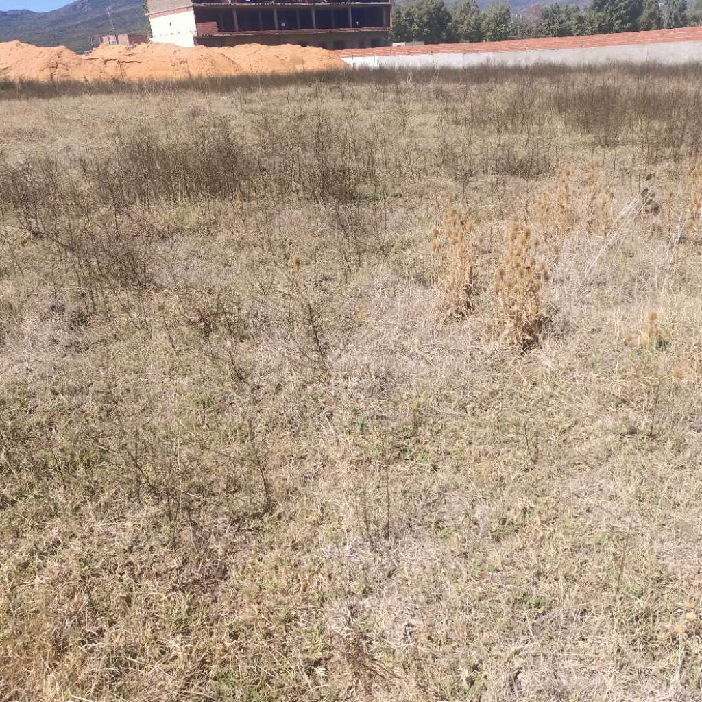 terrain 300 a tabarka a vendre