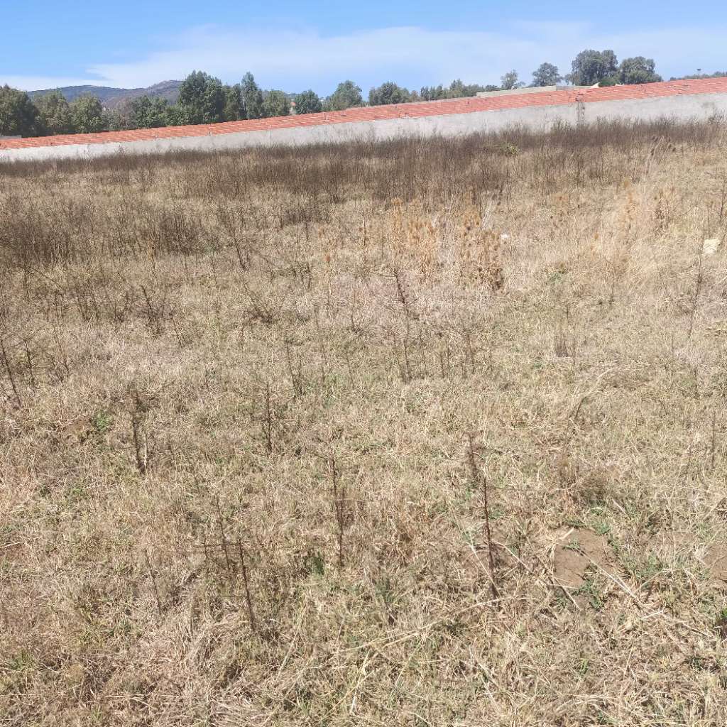 terrain 300 a tabarka a vendre