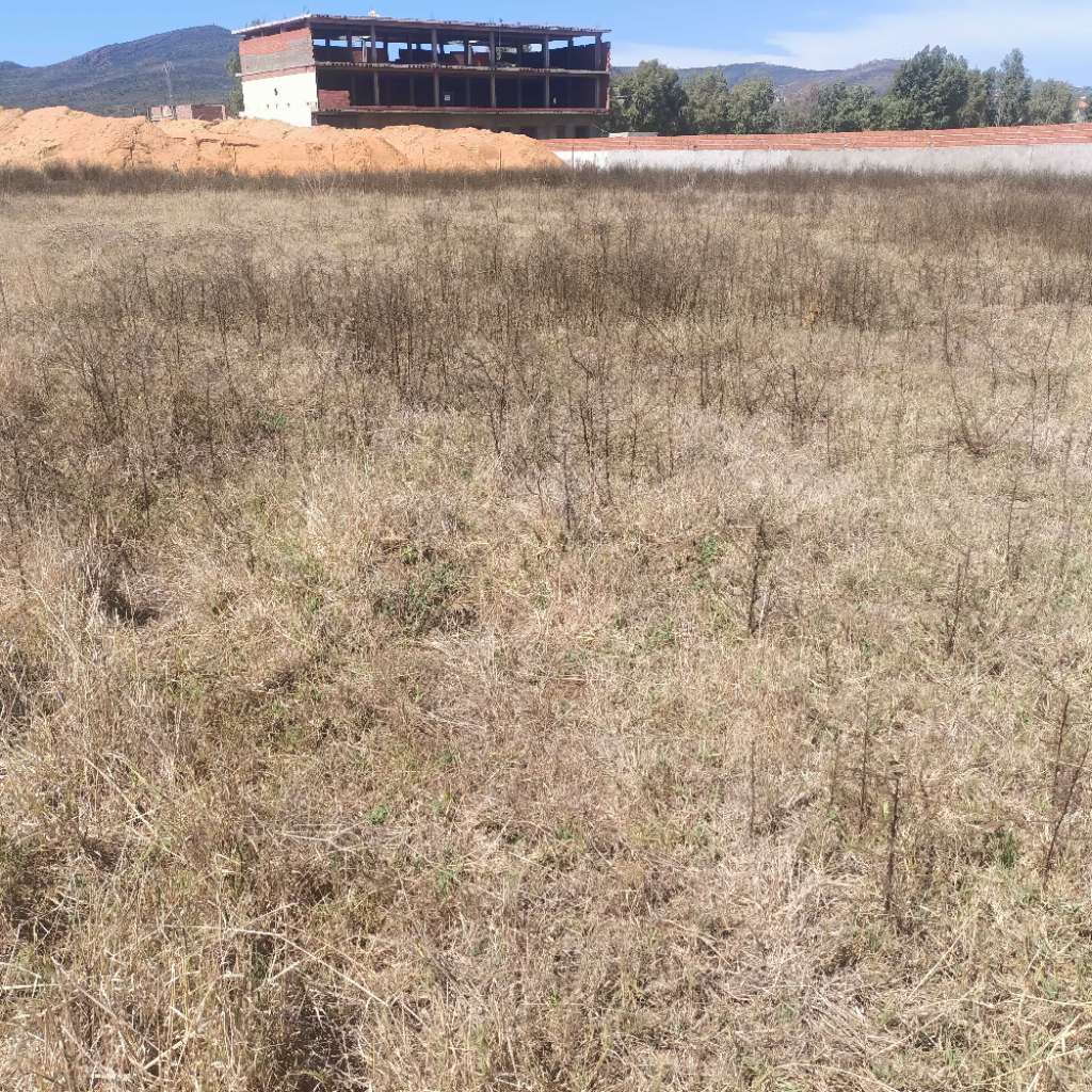 terrain 300 a tabarka a vendre