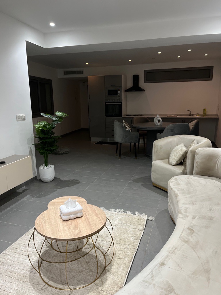 Appartement spacieux s+1