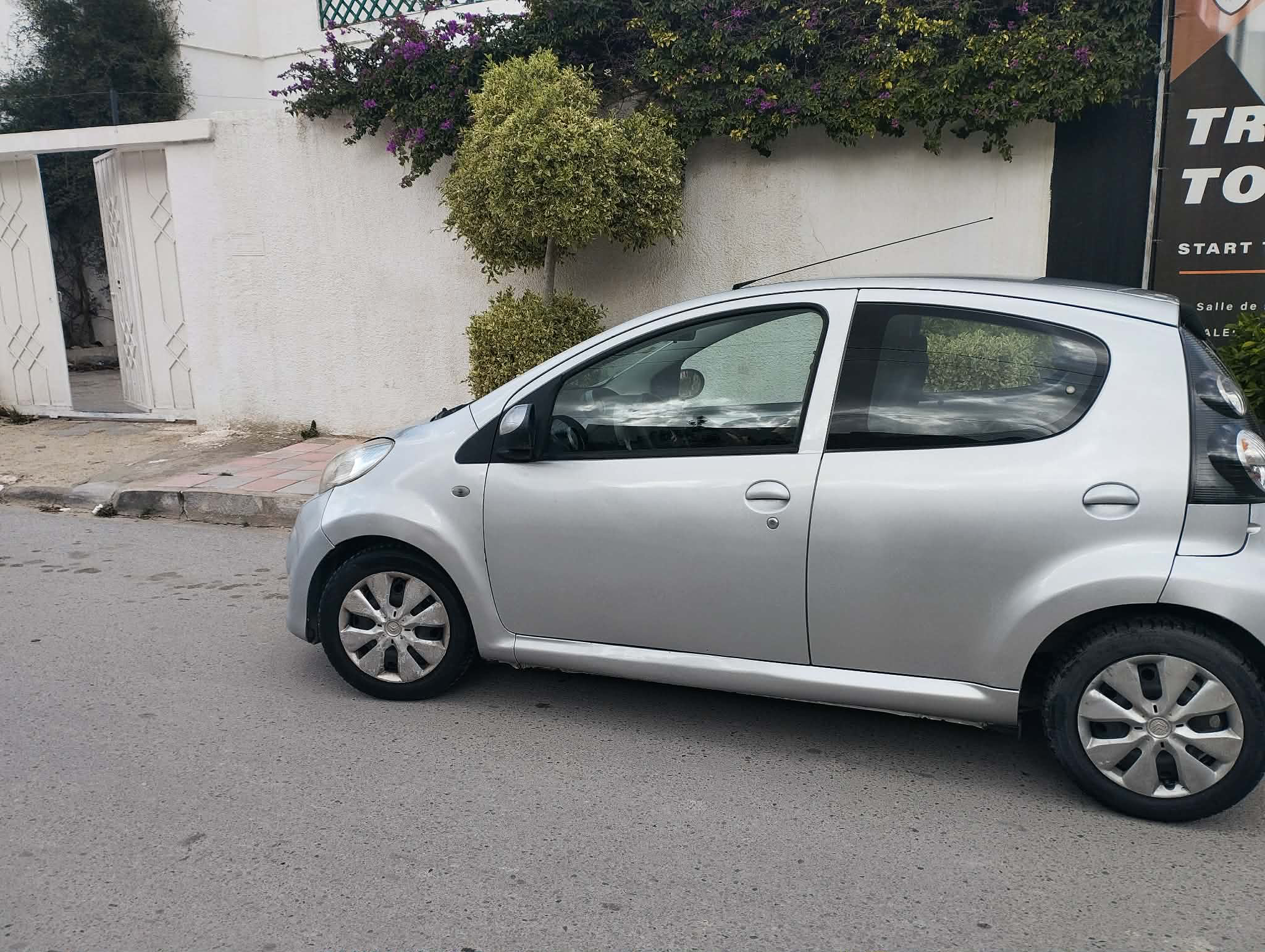 C1 gris à vendre