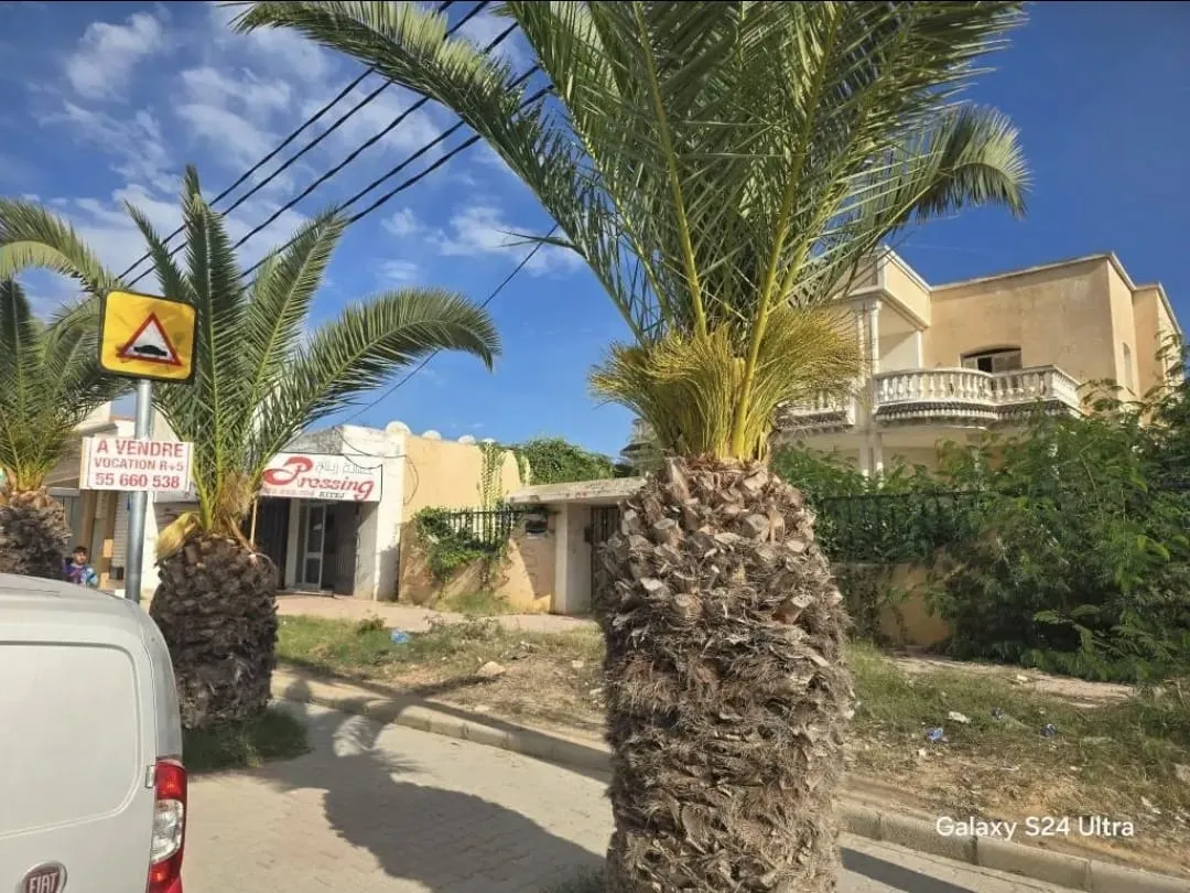 Terrain stratégique 