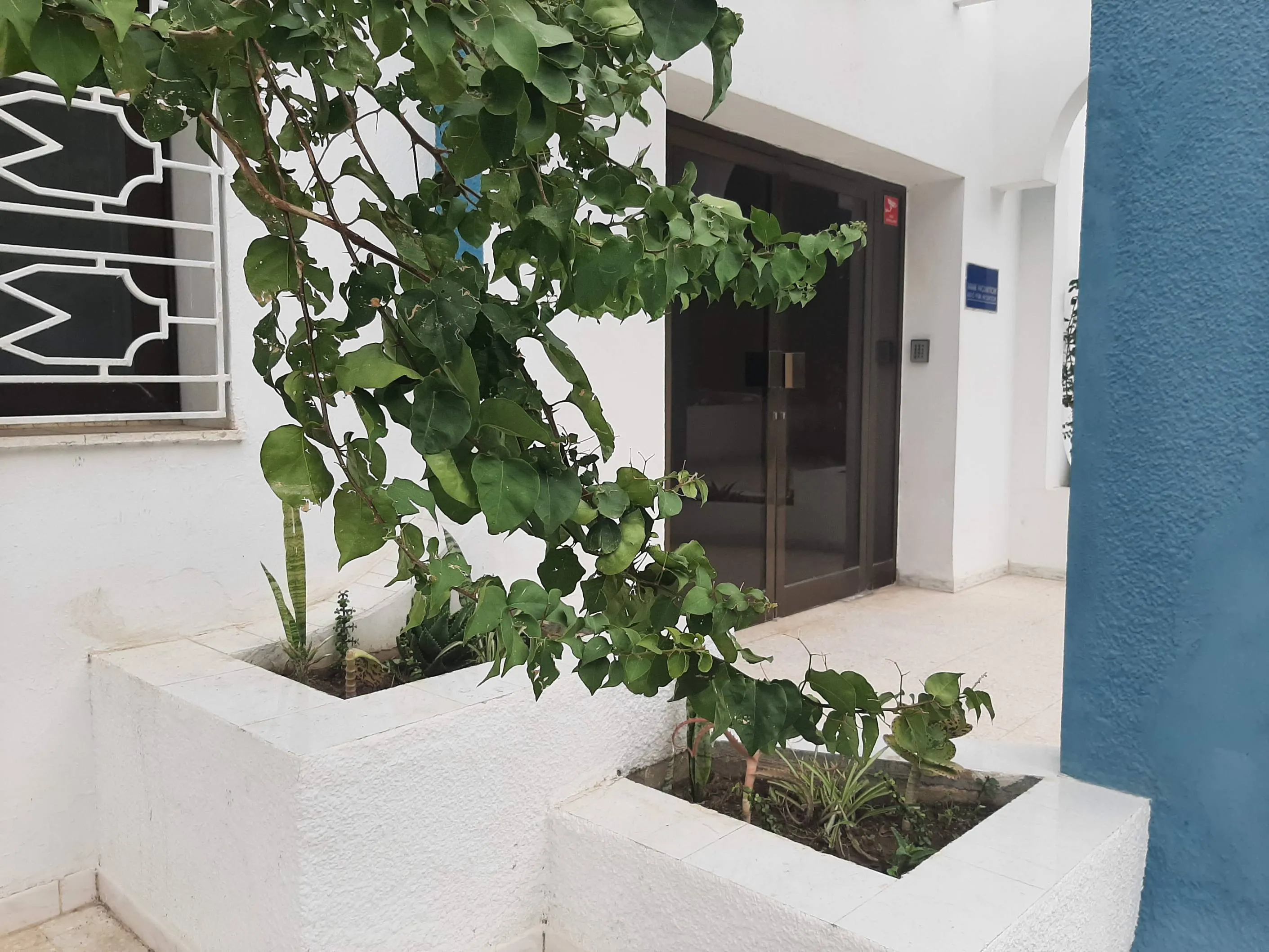 Appartement S+3 usage bureau au Centre urbain Nord