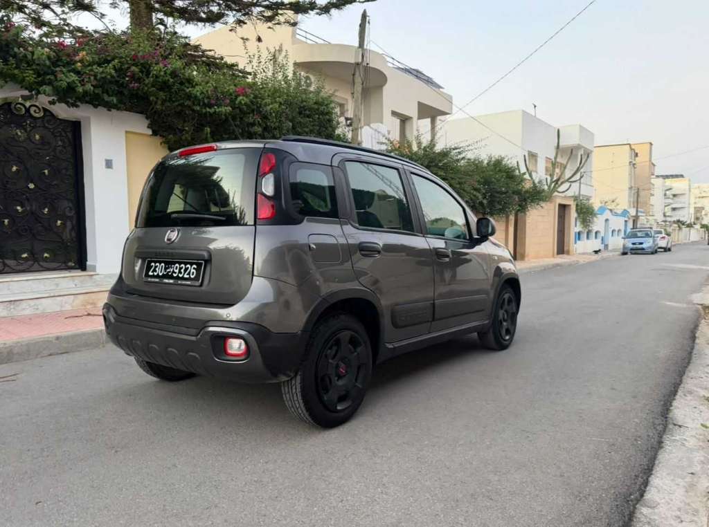 Panda cross 2022