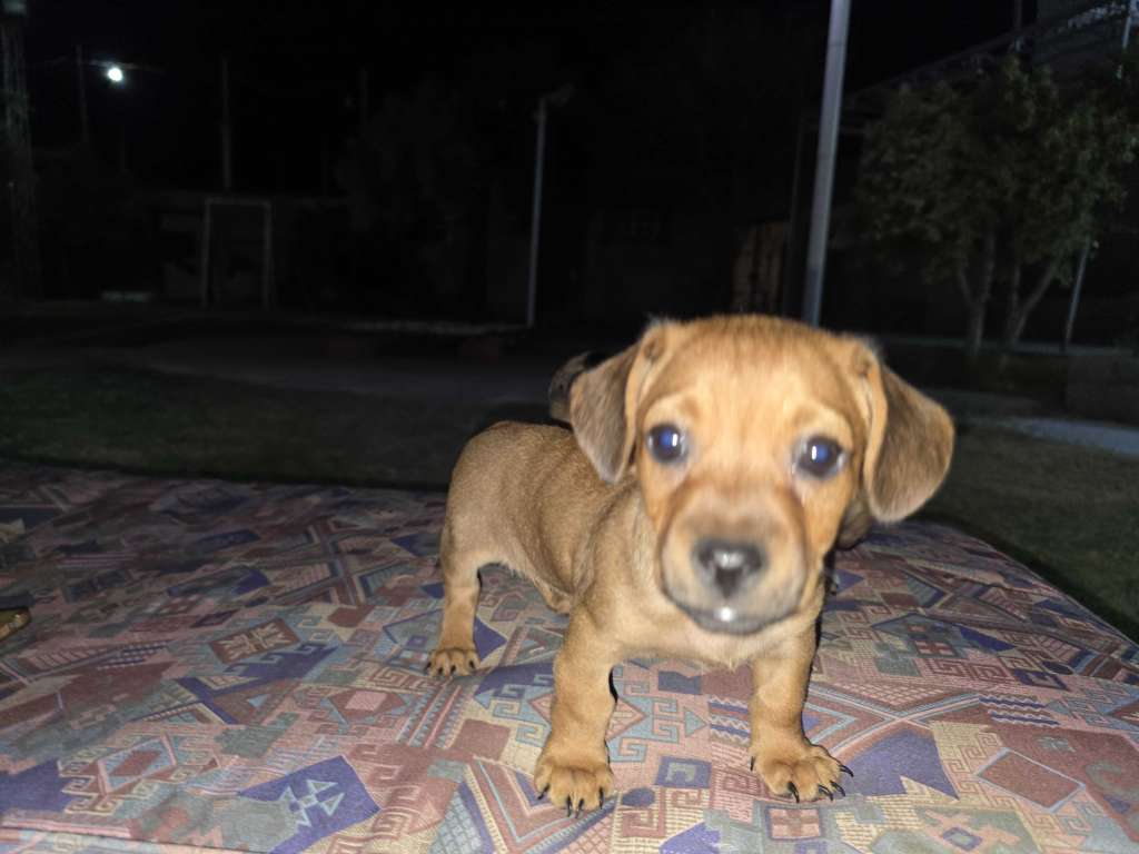 A vendre 