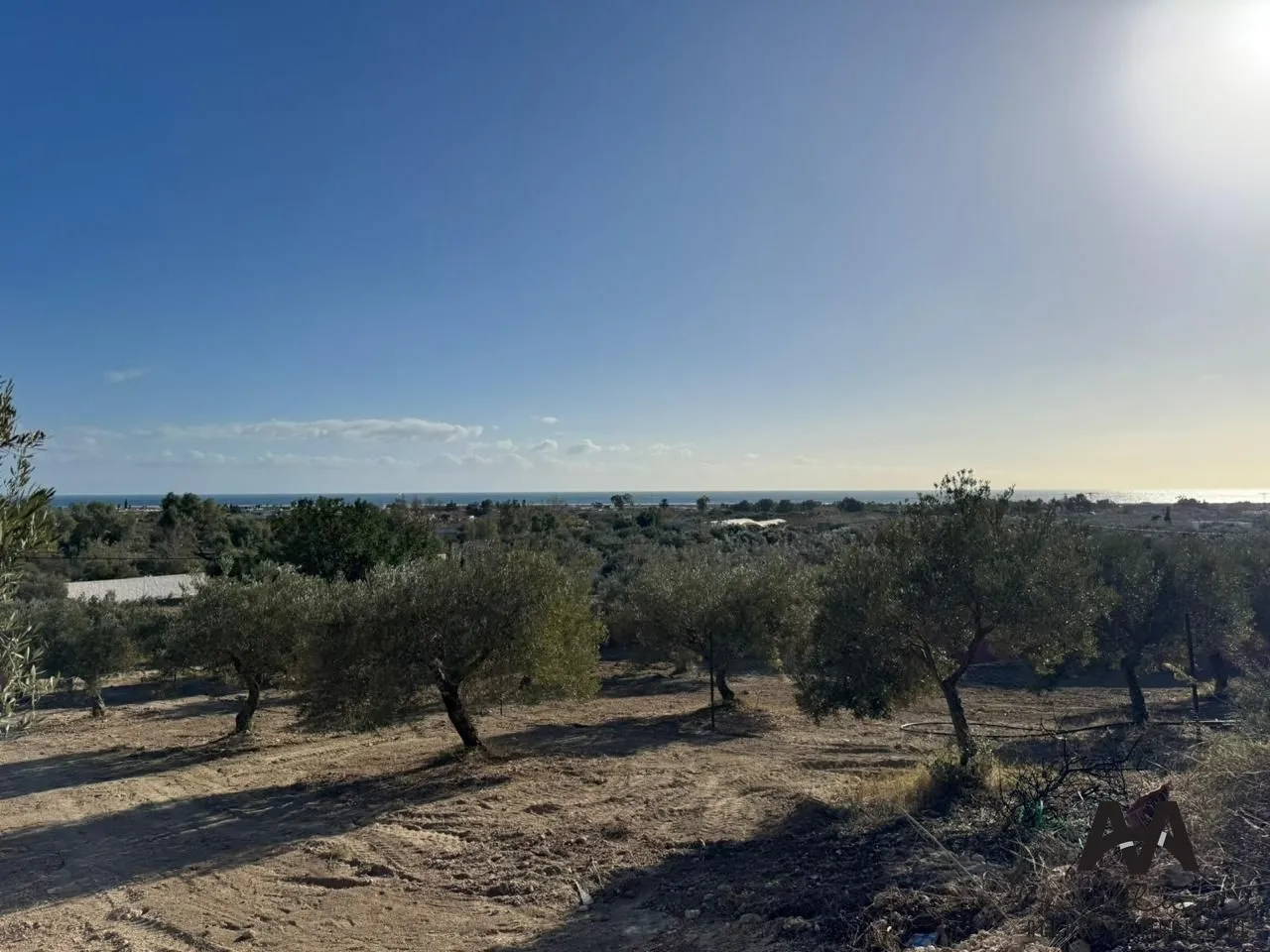 Terrain à vendre vue de mer, clôturé situé à Dharoufa.