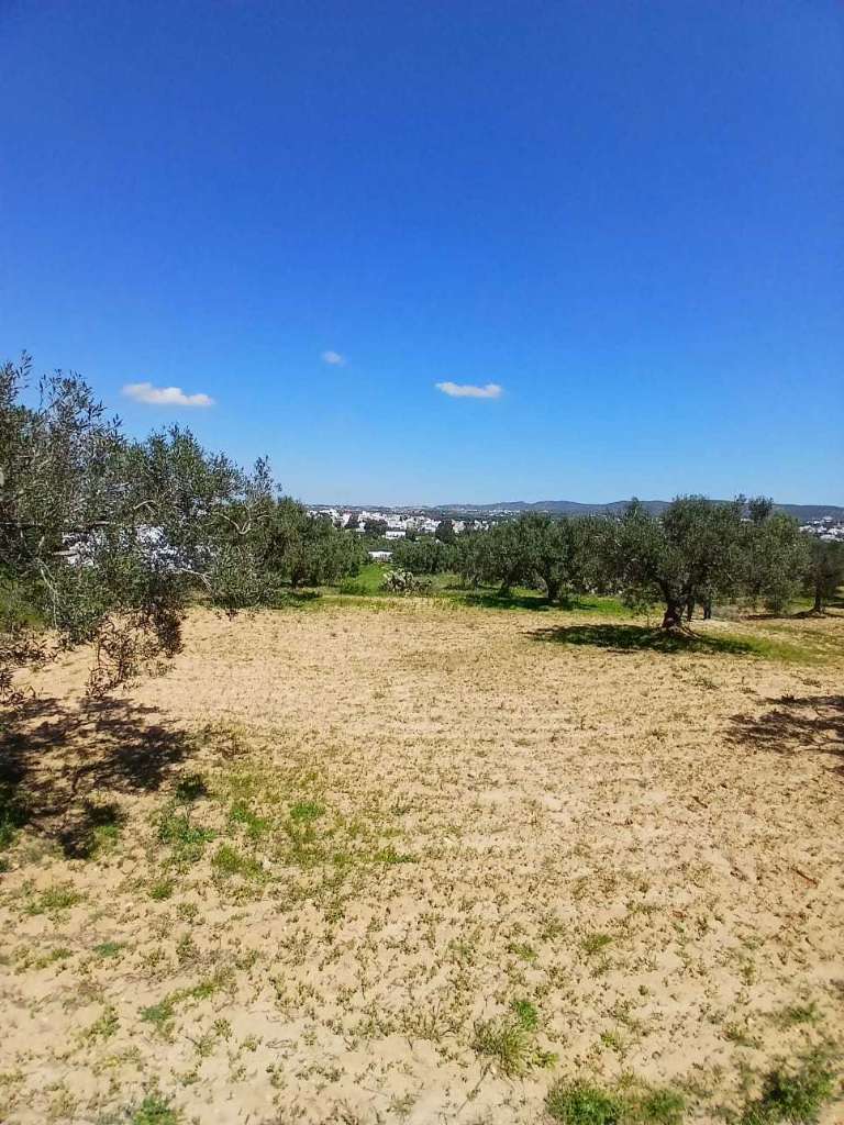 للبيـــــــــــع