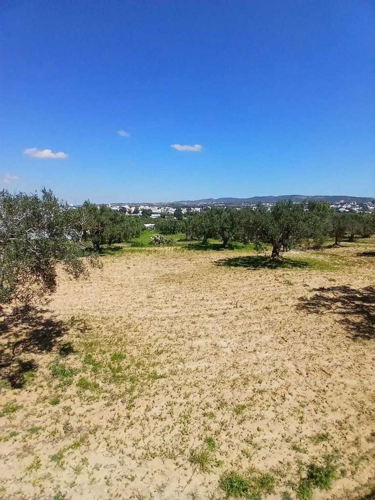 للبيـــــــــــع