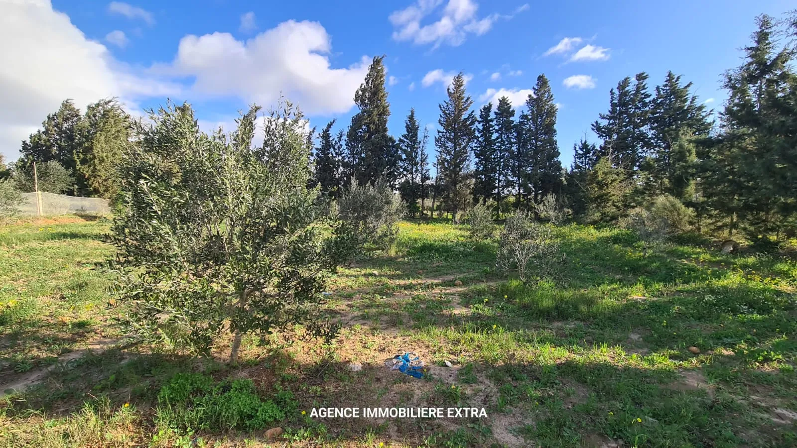 À Vendre : Belle Campagne à Ghardaia, Nabeul – 2700 m²