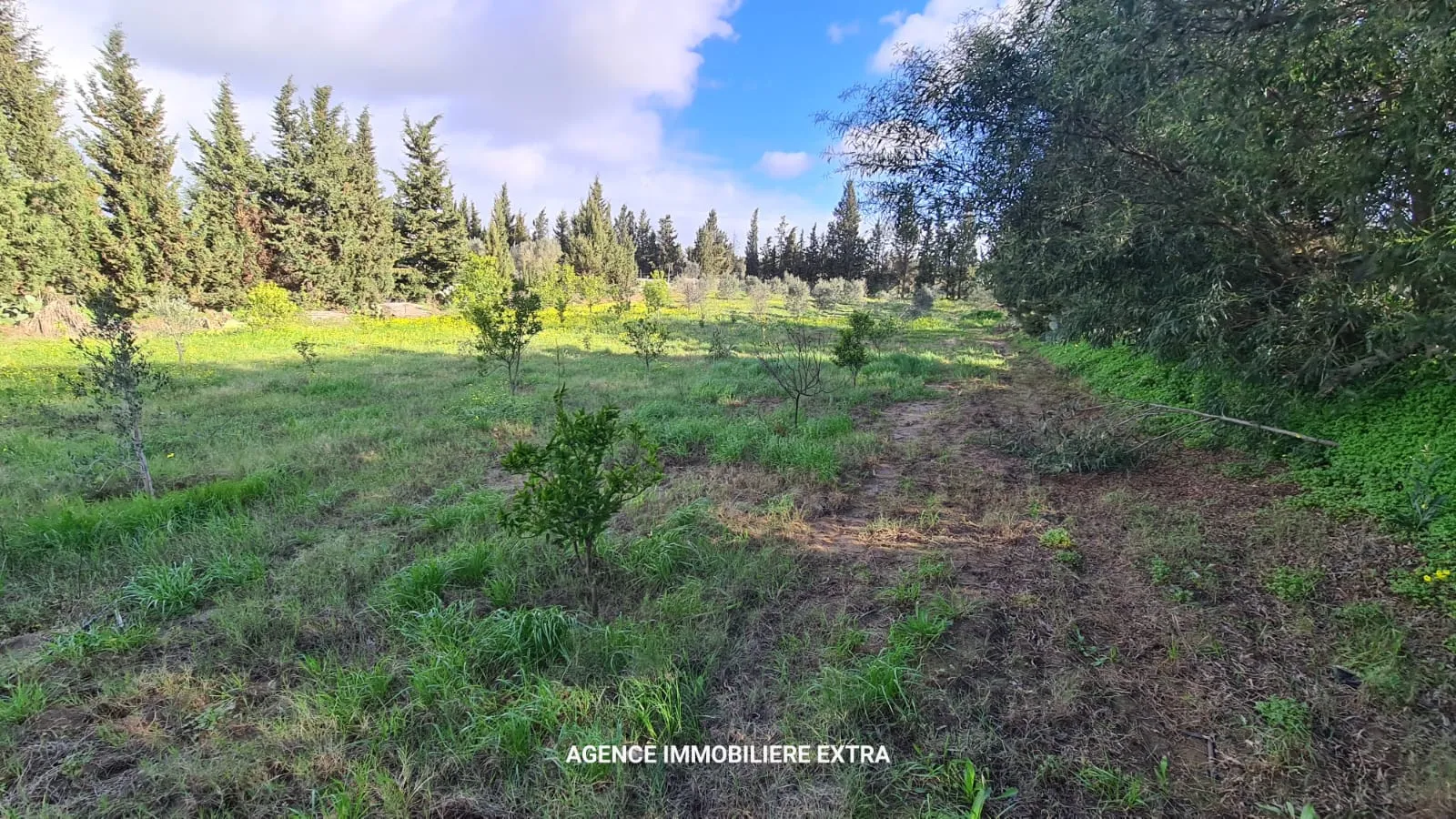 À Vendre : Belle Campagne à Ghardaia, Nabeul – 2700 m²