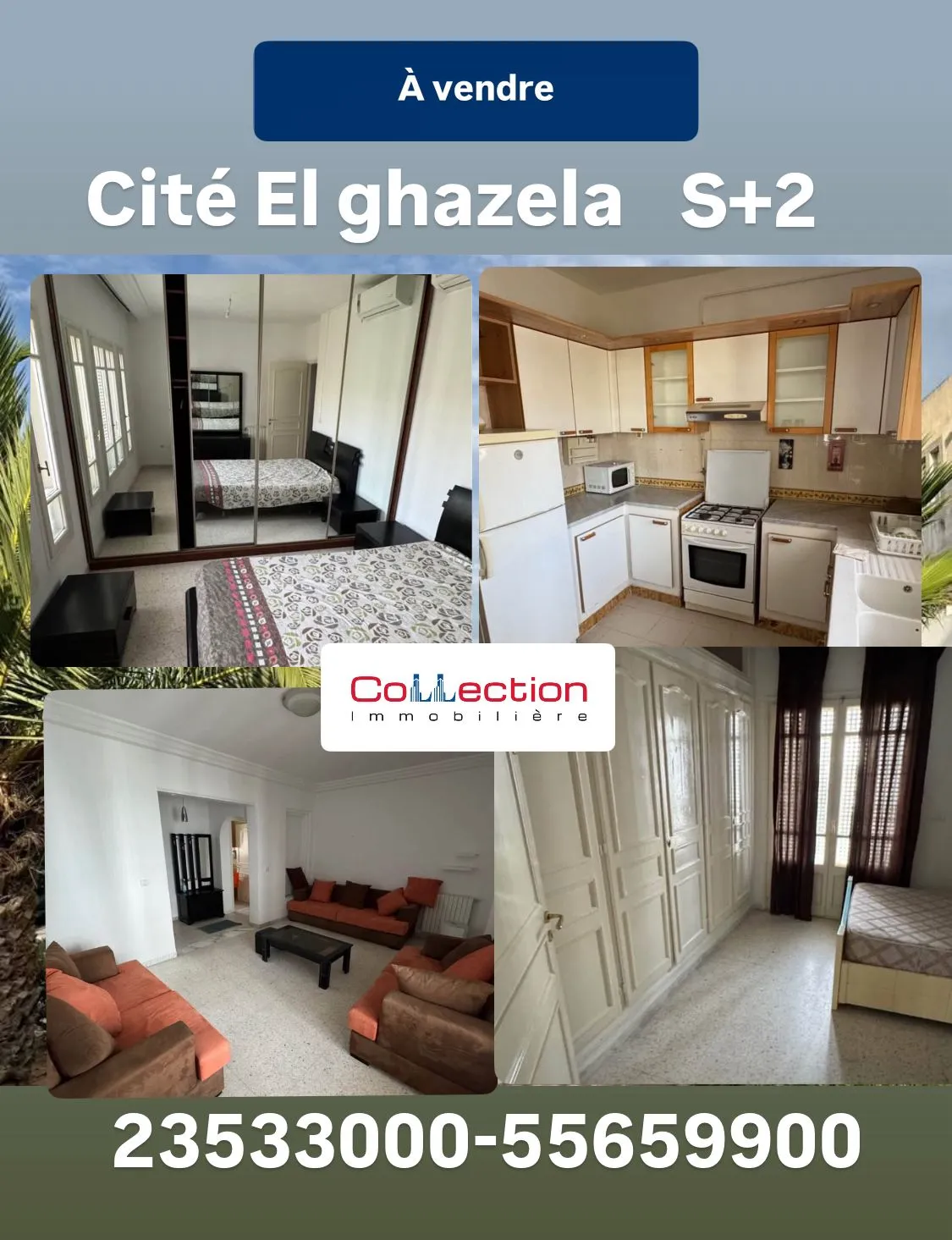 A vendre un Appartement S2 à Riadh andaloss