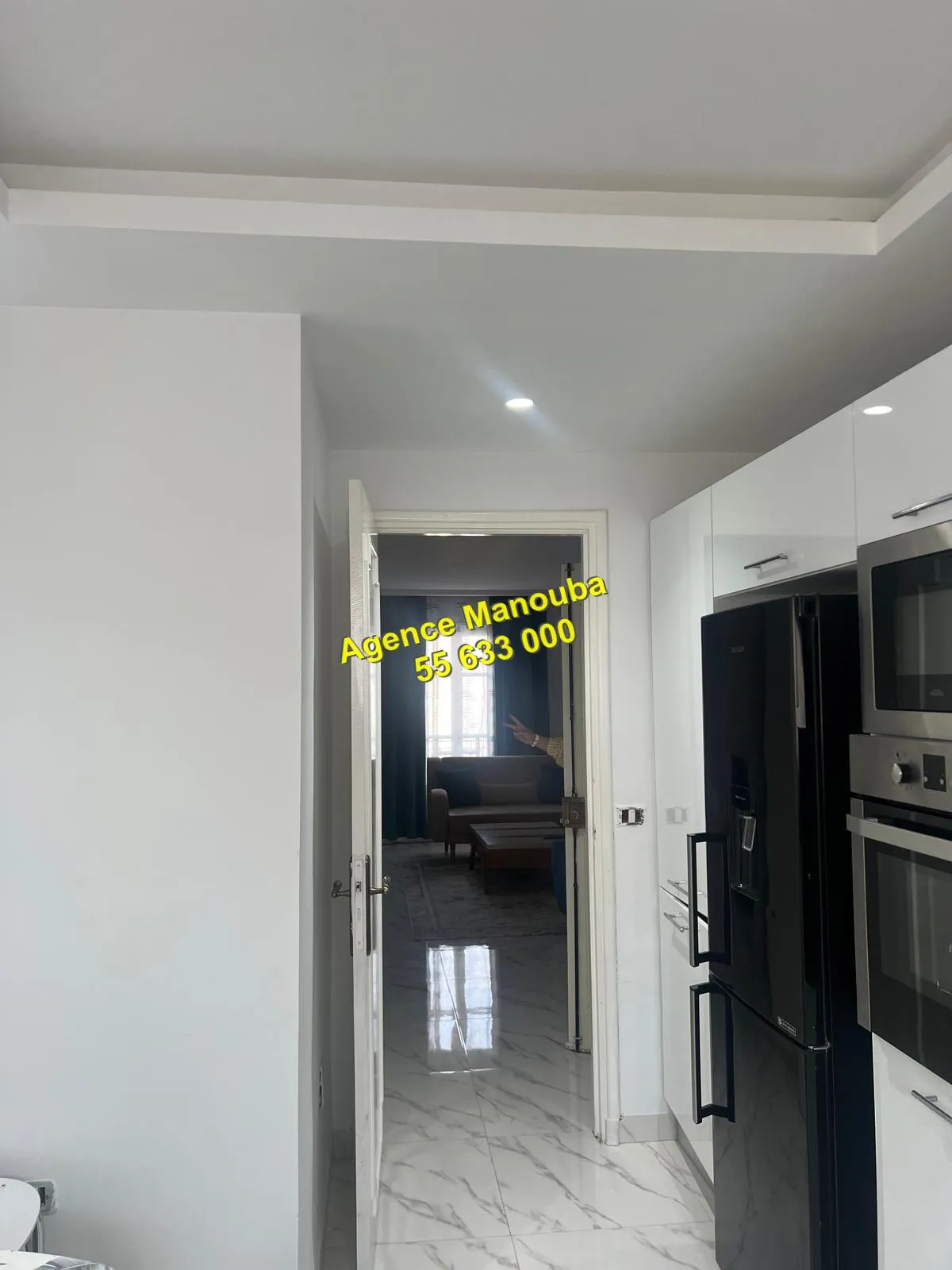 appartement haute standing
