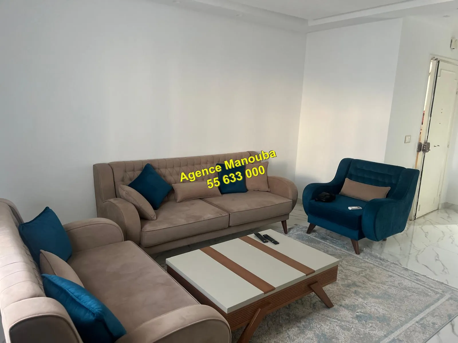 appartement haute standing