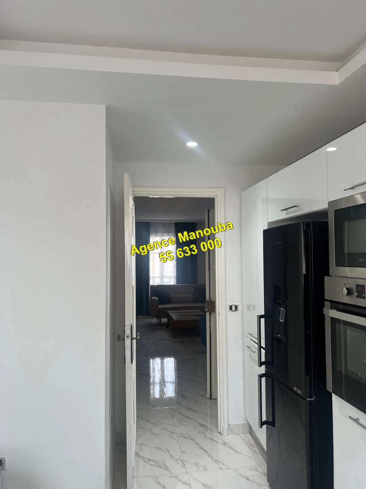 appartement haute standing
