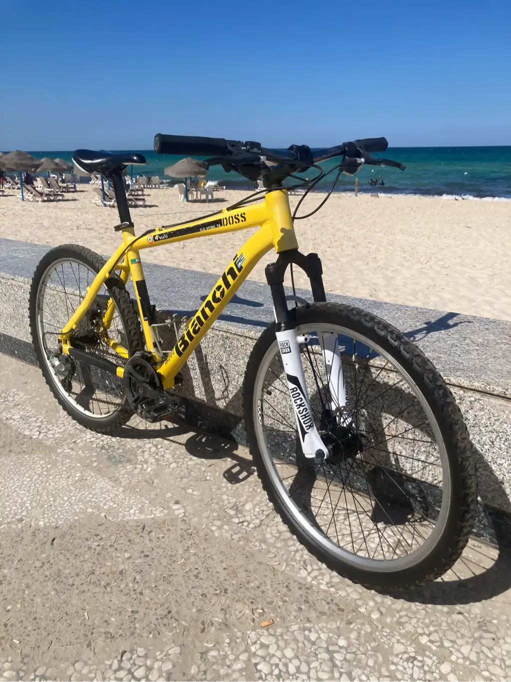 velo bianchi vtt