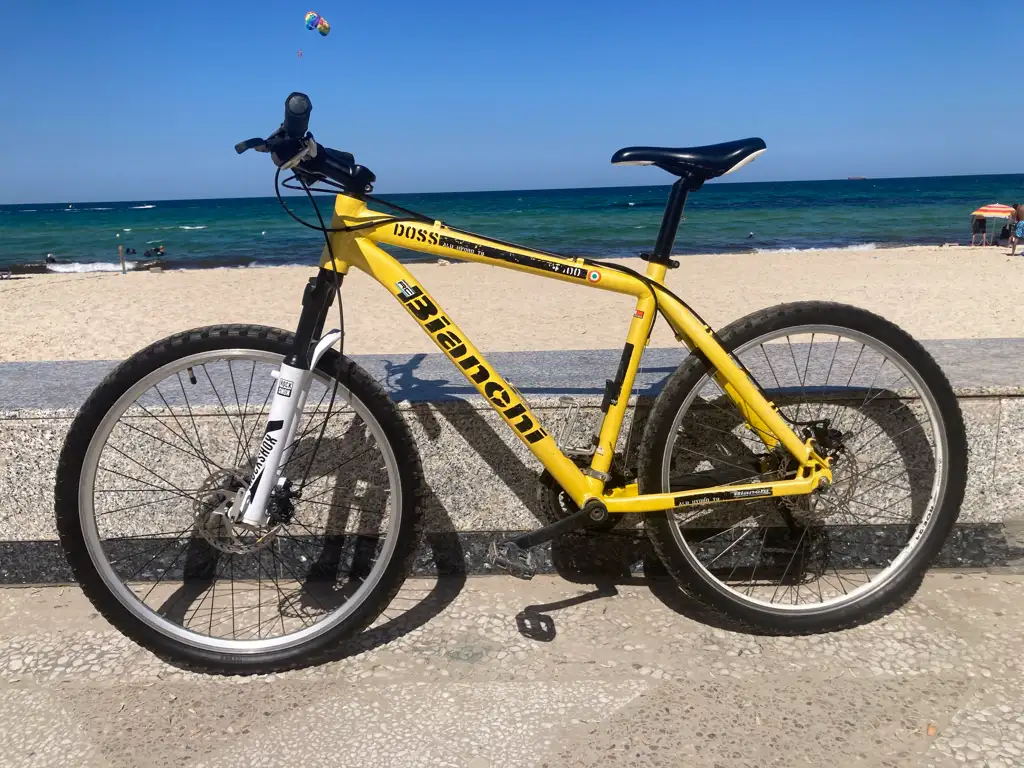 velo bianchi vtt