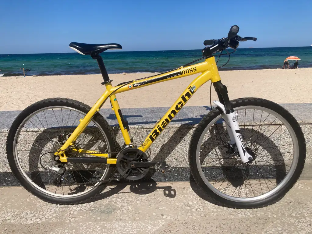 velo bianchi vtt