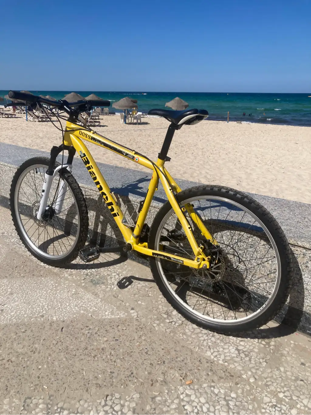 velo bianchi vtt