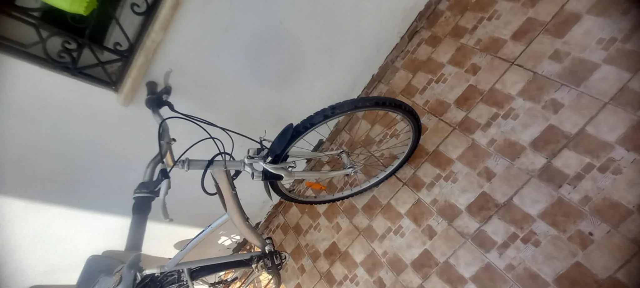 velo