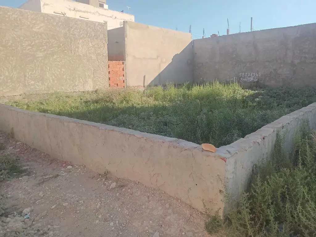 نهج العنب دار فضال سكرة