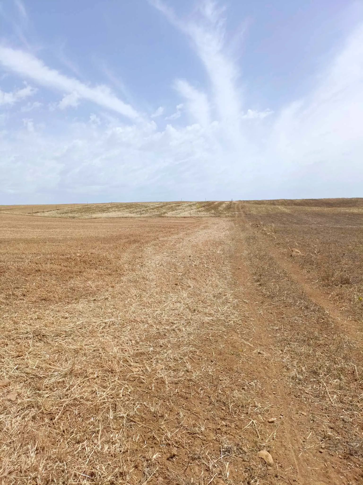 AV terrain de 4900m pas loin de hammamet yasmine 99958728