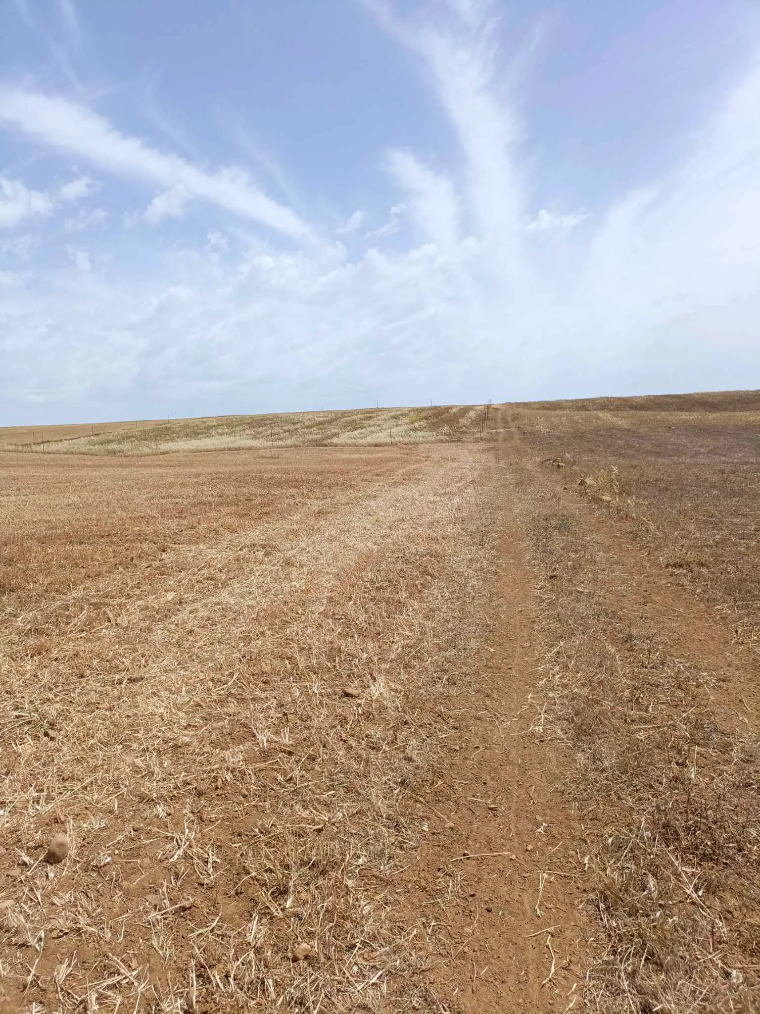 AV terrain de 4900m pas loin de hammamet yasmine 99958728