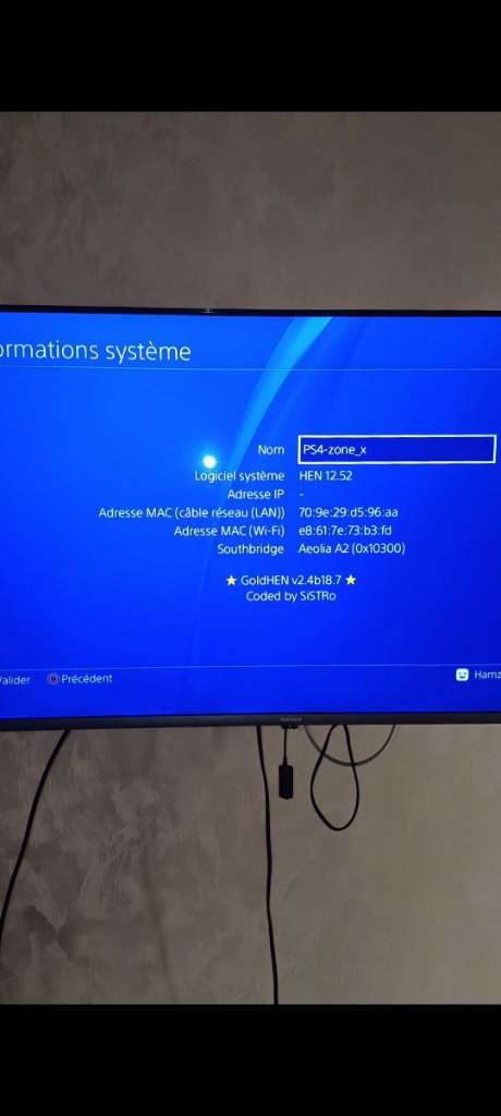 Ps4 patché + 12 jeux