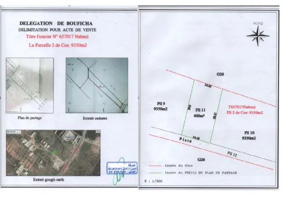 Terrain Hammamet – 400 m² – 200.000 DT