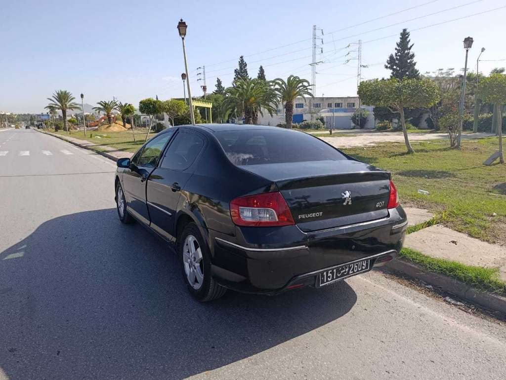 Peugeot 407