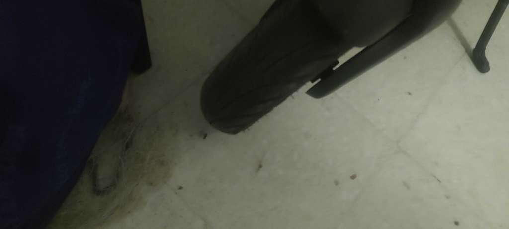 Trottinette électrique Ninebot G2 max utiliser 3 mois 