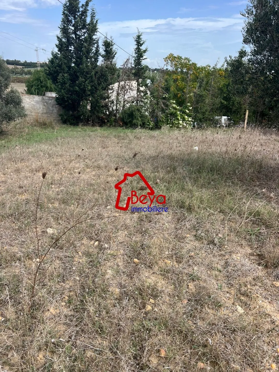 5000 m² clôturé