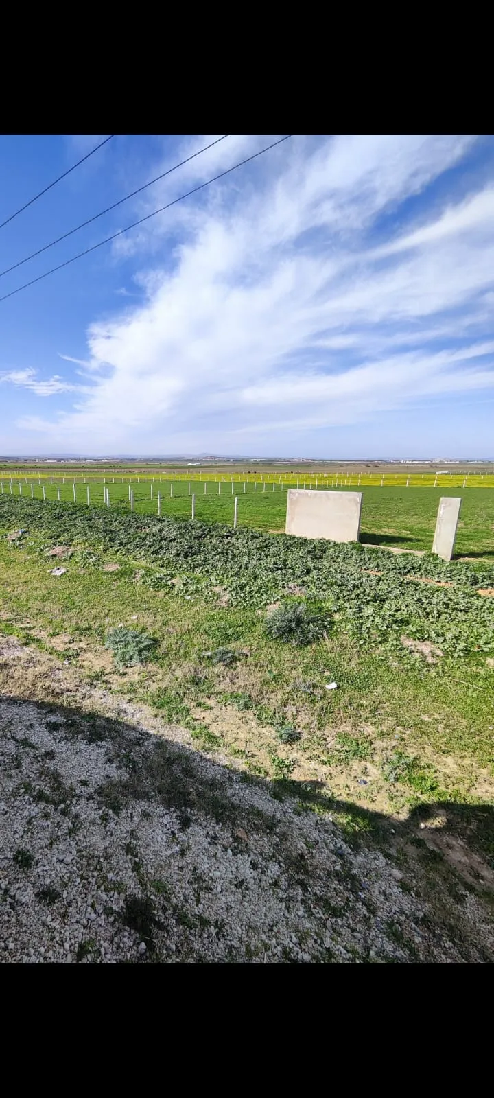 Terrain الفجة occasion unique