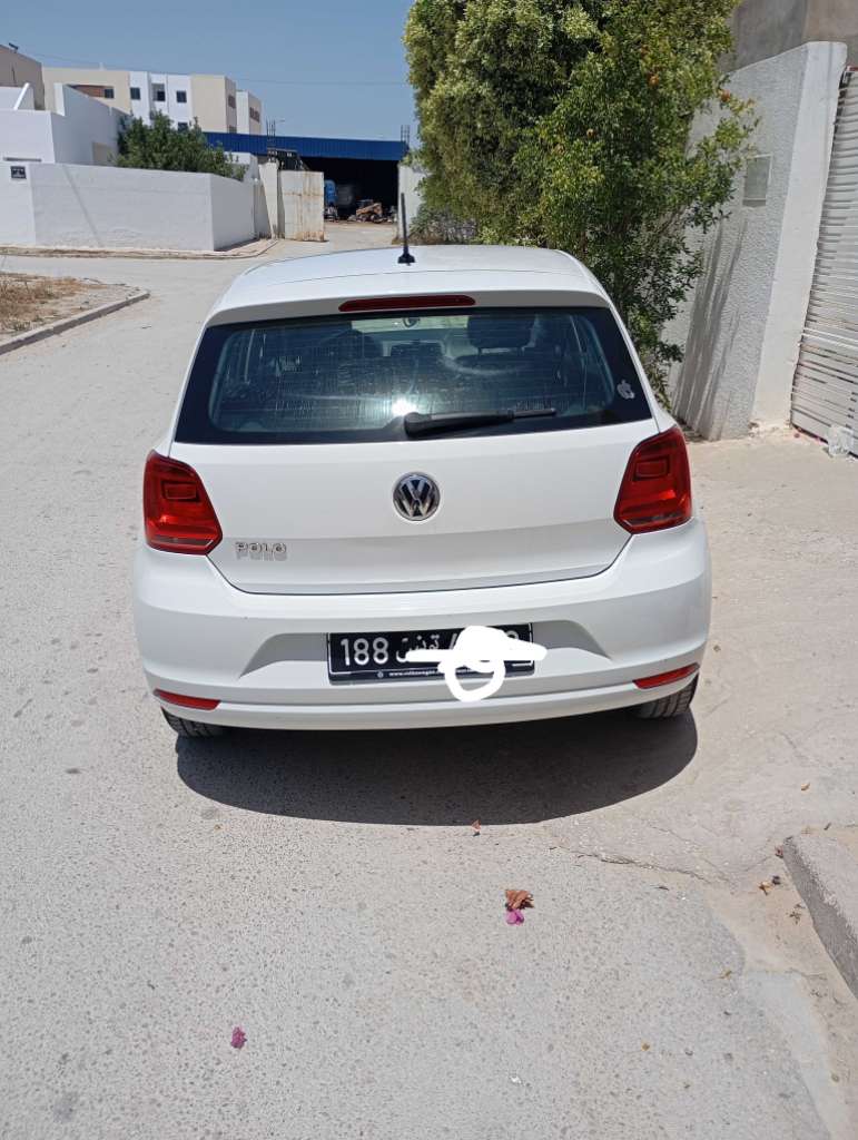 Polo 7