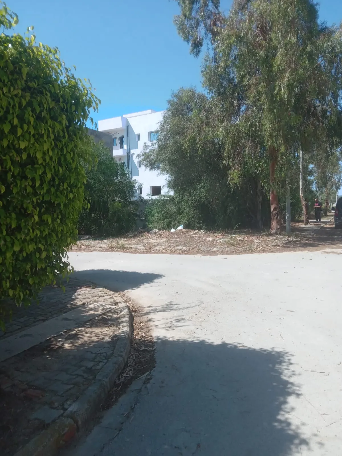 Terrain a vendre 