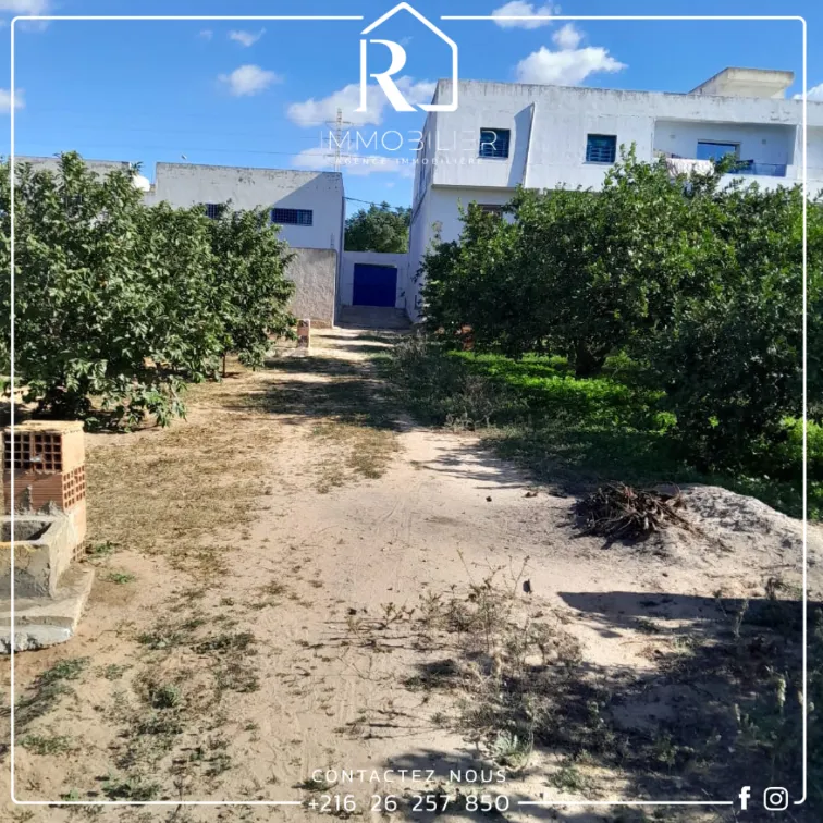 للبيع قطعة أرض في الحمامات  2éme position sur la route goudronnée تبعد فقط 3دق على البحر 