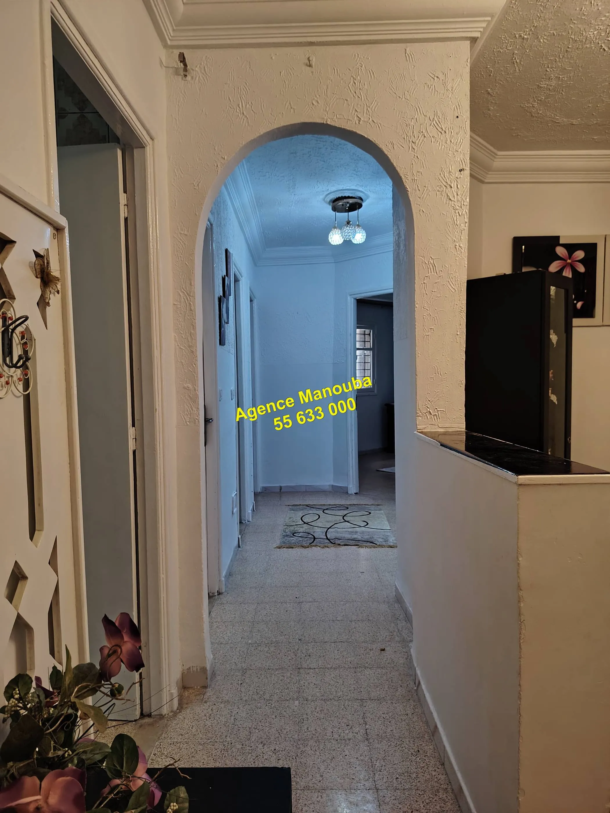 appartement meublé