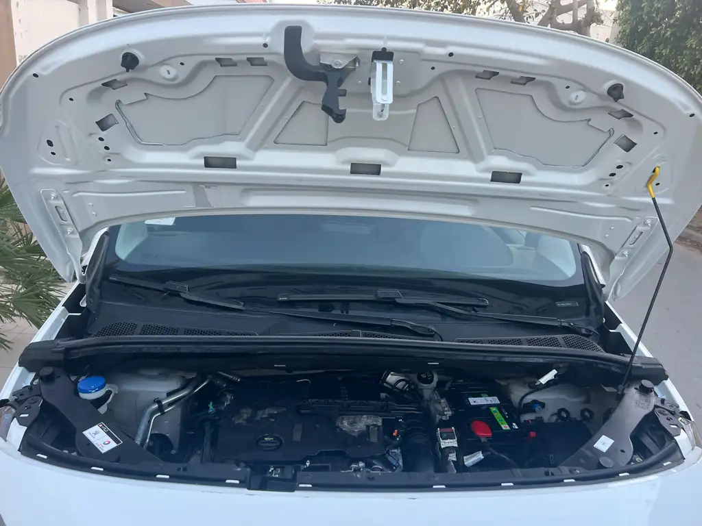 K9 Peugeot