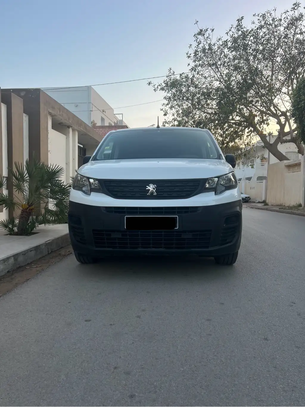 K9 Peugeot
