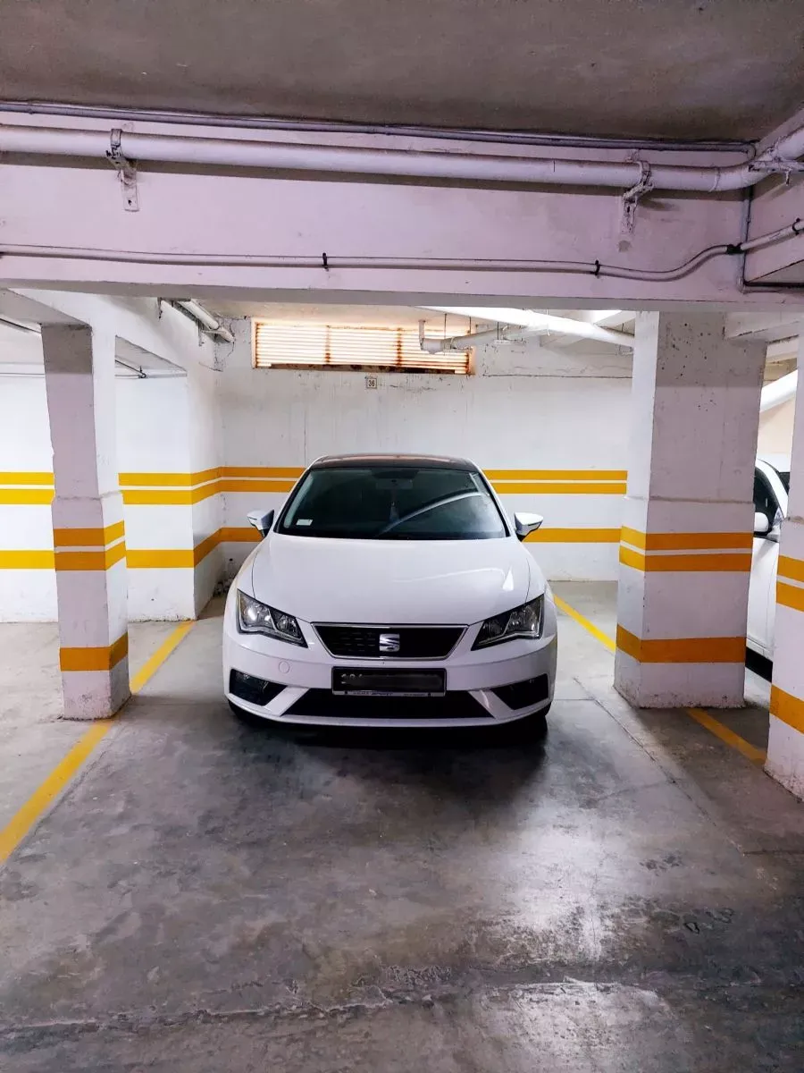 Seat Leon première main 