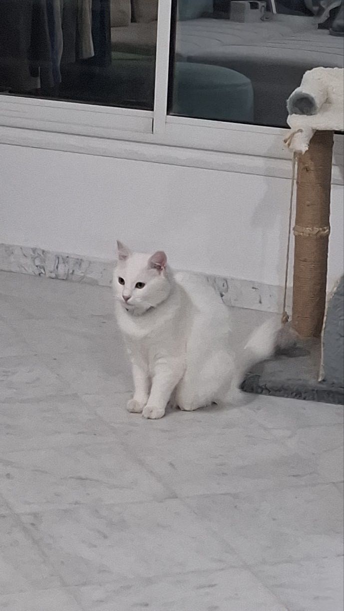 Chat a vent