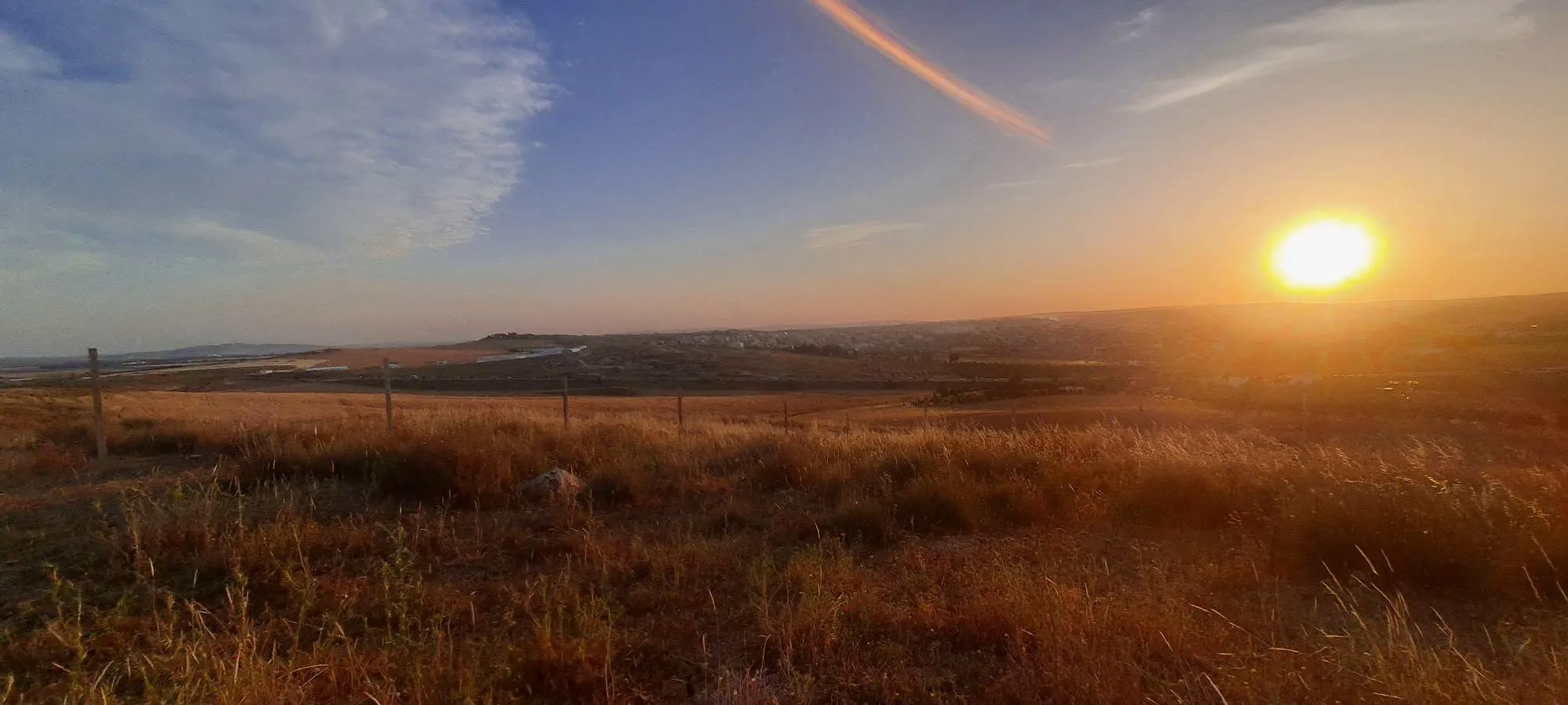Terrain agricole 1000 m² – El Mohamedia