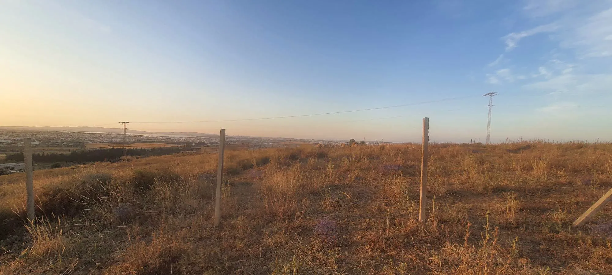 Terrain agricole 1000 m² – El Mohamedia