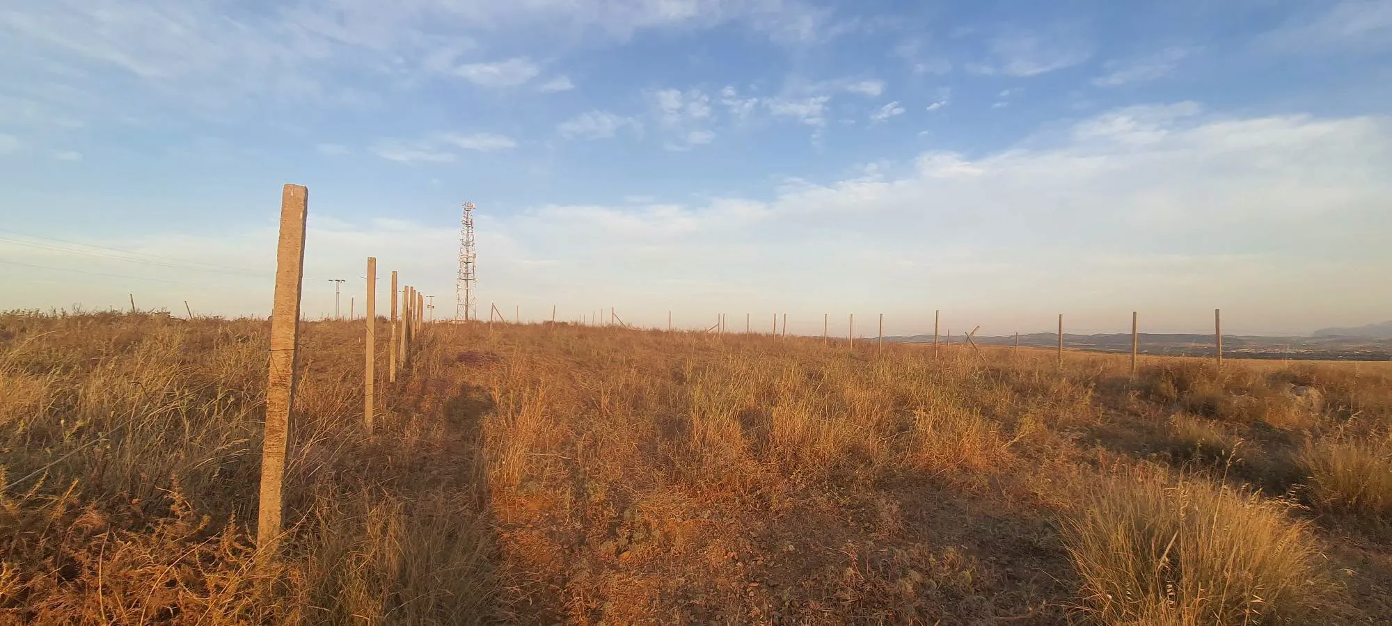 Terrain agricole 1000 m² – El Mohamedia