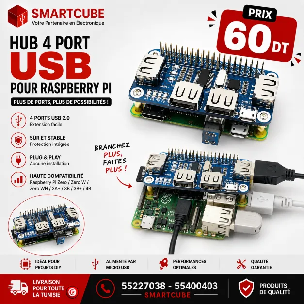 Hub USB 4 Ports pour Raspberry Pi 