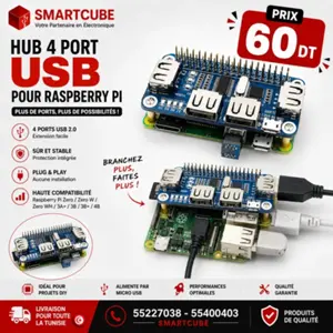 Hub USB 4 Ports pour Raspberry Pi 
