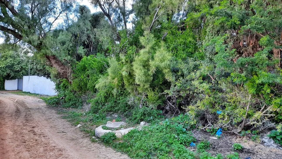 terrain 310 m2 +maison 60 m2 route plage rasjbal
