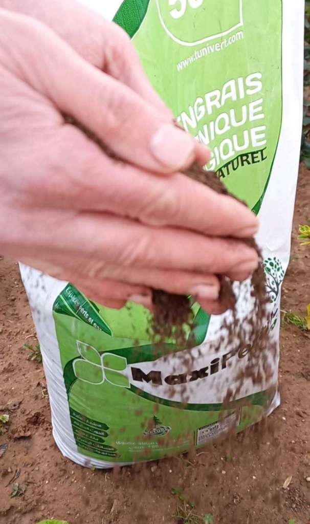Compost biologique 